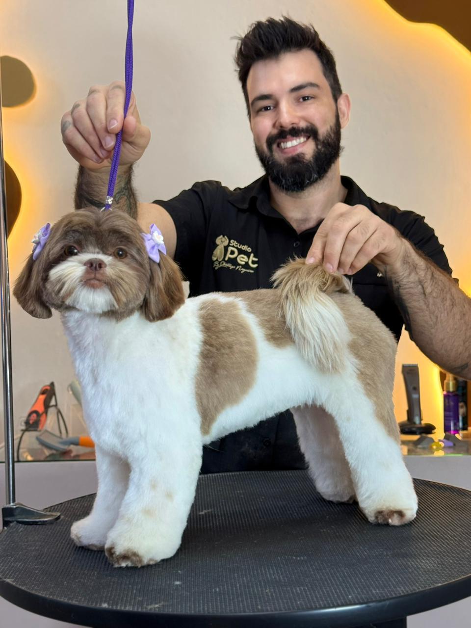 Curso Tosa Bebê Comercial – CIMEV